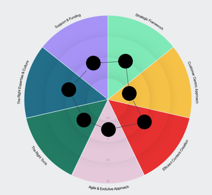 Digital Maturity Wheel